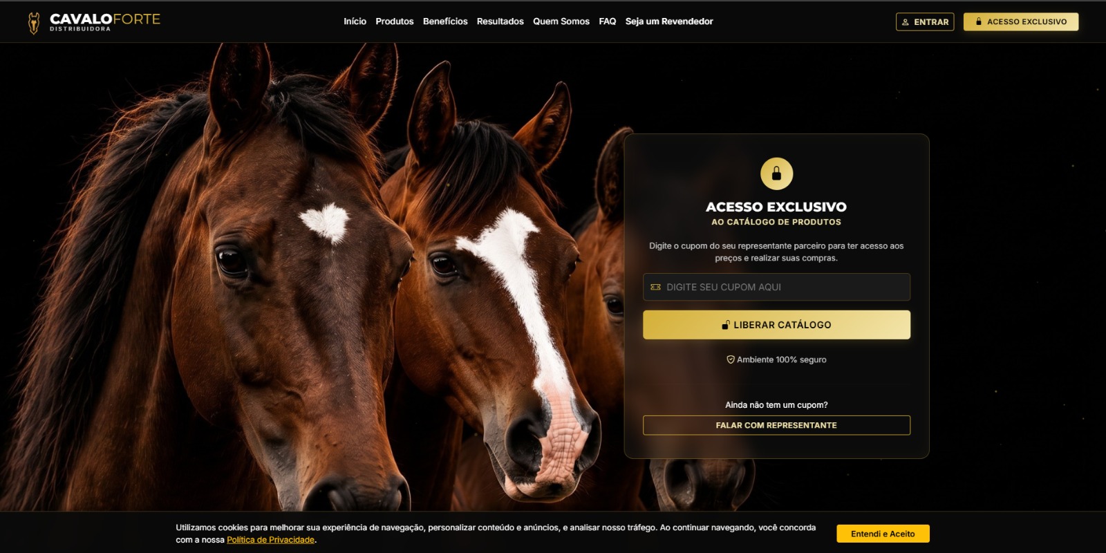 Exemplo de E-commerce 2